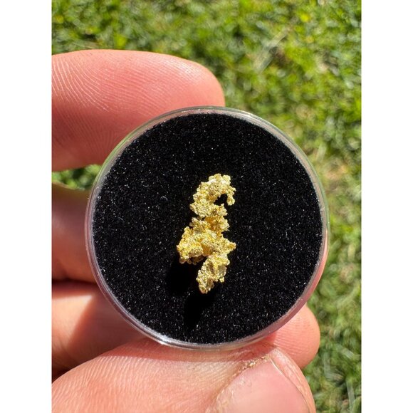 California Gold Crystal - 0.53 grams - Picture 3 of 6